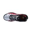 Nike AIR MAX PLUS DM0032-017