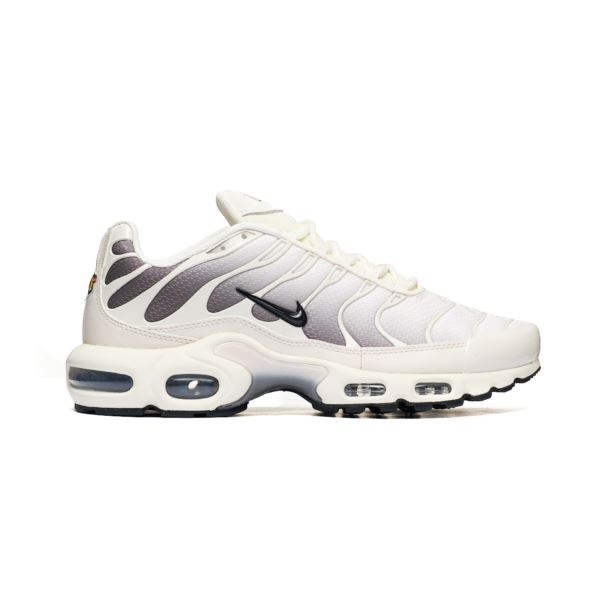 Nike AIR MAX PLUS DM0032-106 2