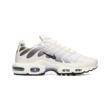 Nike AIR MAX PLUS DM0032-106