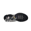 Nike AIR MAX PLUS DM0032-106