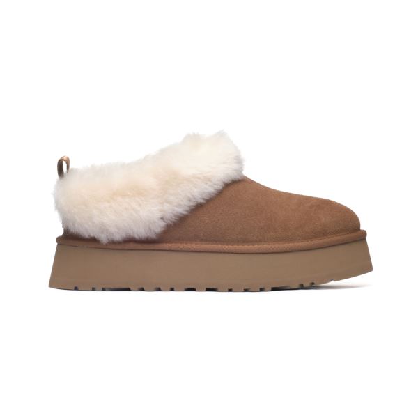 UGG Tazzelle 1171393-CHE 2
