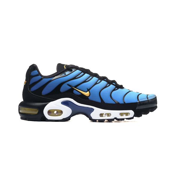 Nike AIR MAX PLUS OG DX0755-001 2