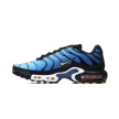 Nike AIR MAX PLUS OG DX0755-001