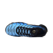 Nike AIR MAX PLUS OG DX0755-001