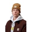 Carhartt Acrylic Watch Unisex Beanie 020222-HZXX