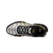 Nike AIR MAX PLUS DM0032-023