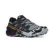 Salomon SPEEDCROSS 6 GTX L47880000