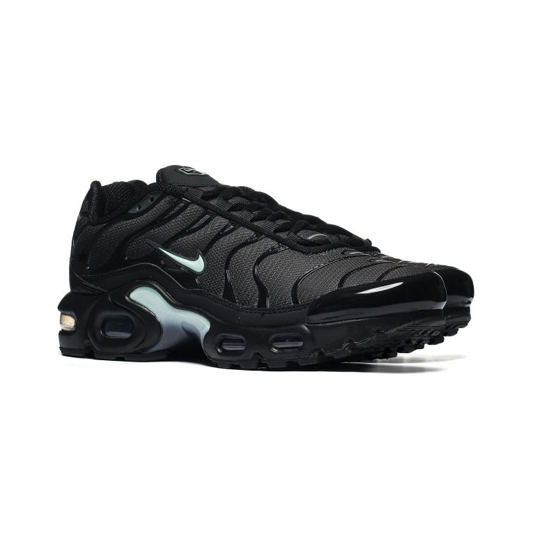 Nike AIR MAX PLUS GS MTDH IF6169-010