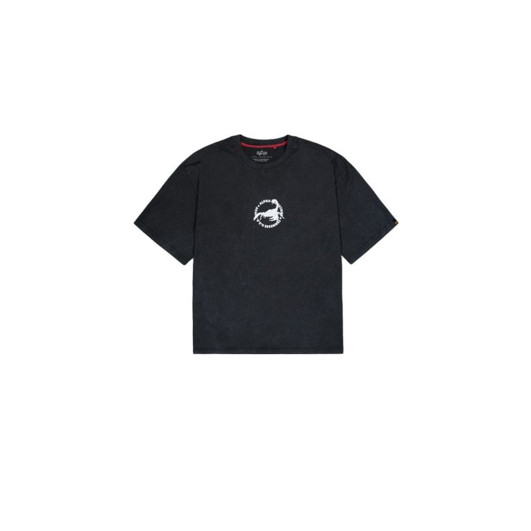 Alpha Industries US Scorpion Backprint T-Shirt 266