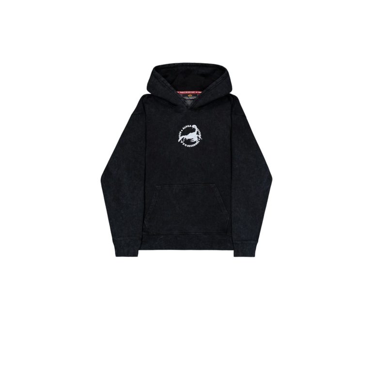 Alpha Industries US Scorpion Backprint Hoodie 2663