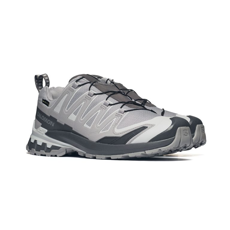 Salomon XA PRO 3D V9 GTX L49199100